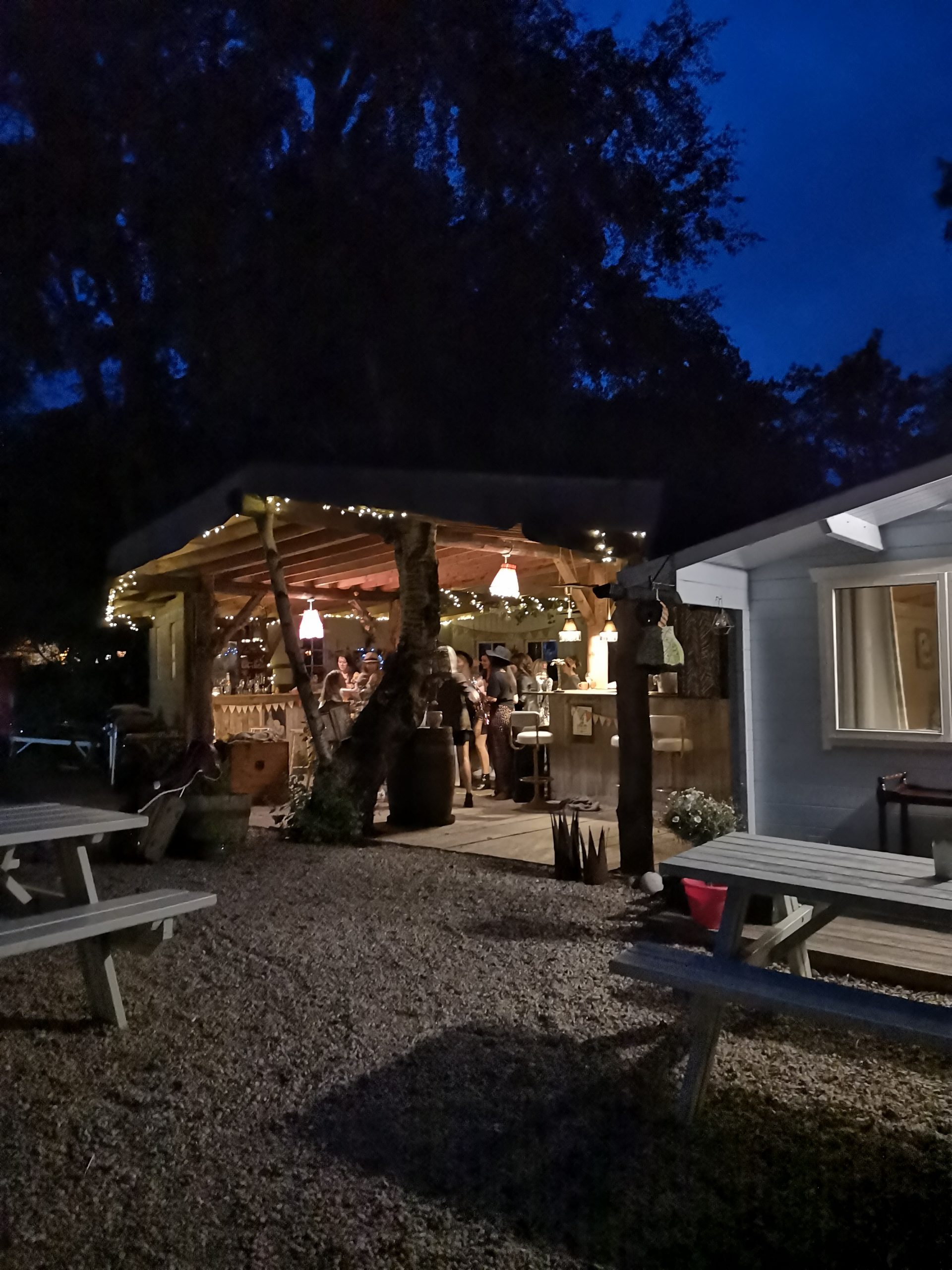 Glamping In a Treehouse On The Wild Atlantic Way